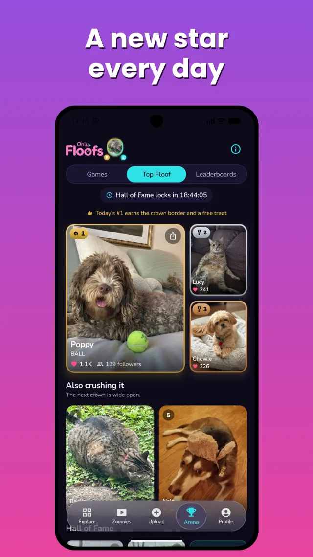 Only Floofs: Make Pets Famous - Screen 6
