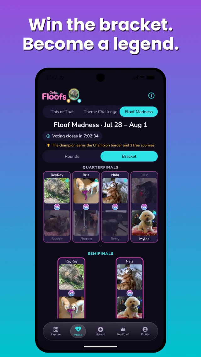 Only Floofs: Make Pets Famous - Screen 4