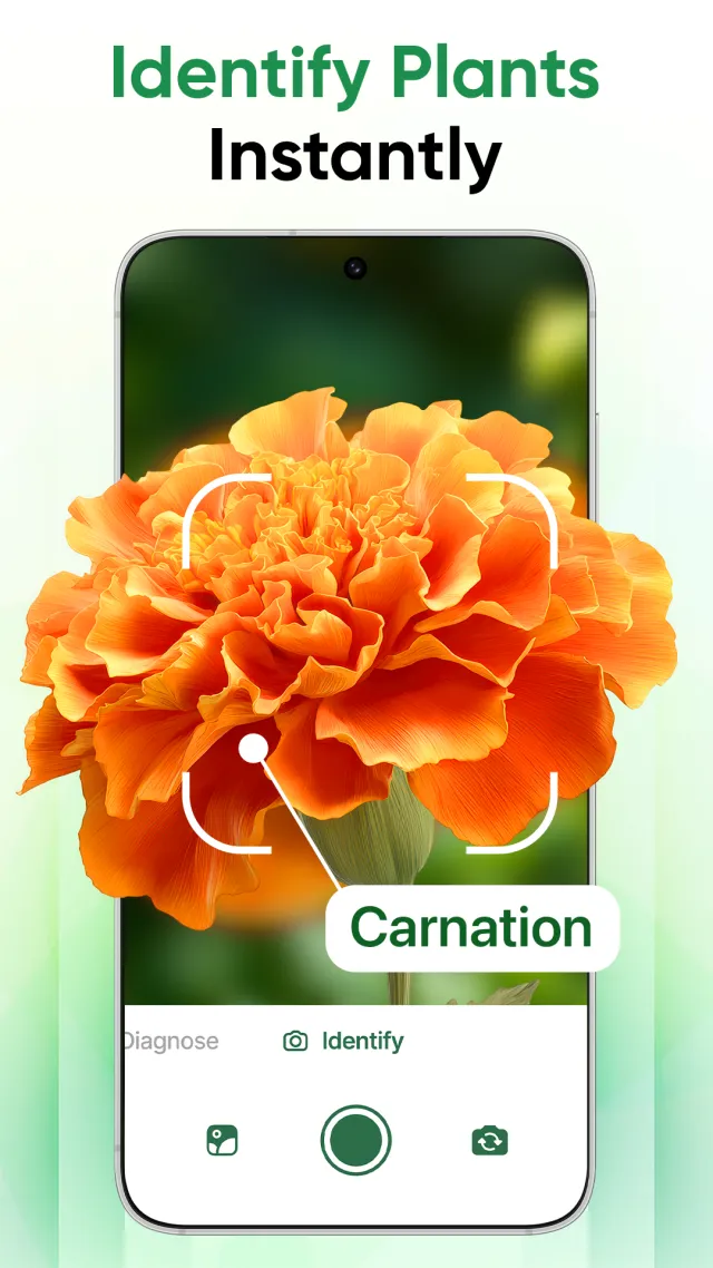 Plant Identifier - Scan & Care - Screen 1